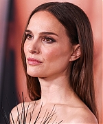 278.jpg