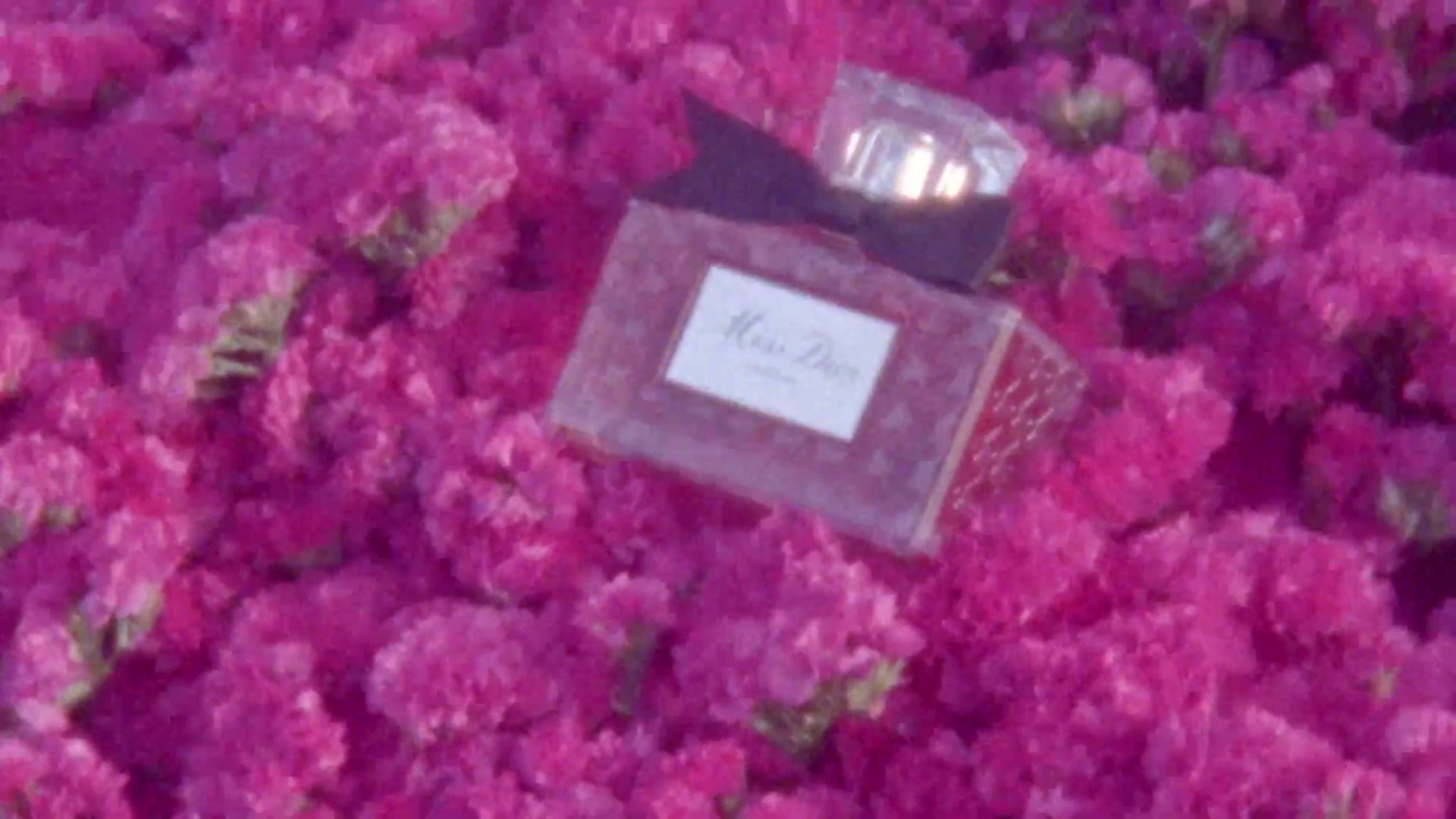 Miss_Dior_-_A_Miss_in_Paris_Episode_2-00_00_19_000.jpeg