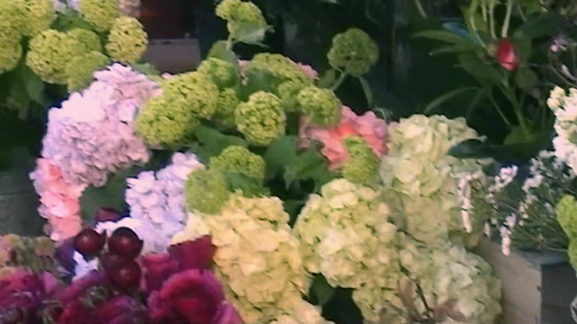 Miss_Dior_-_A_Miss_in_Paris_Episode_2-00_00_36_840.jpeg