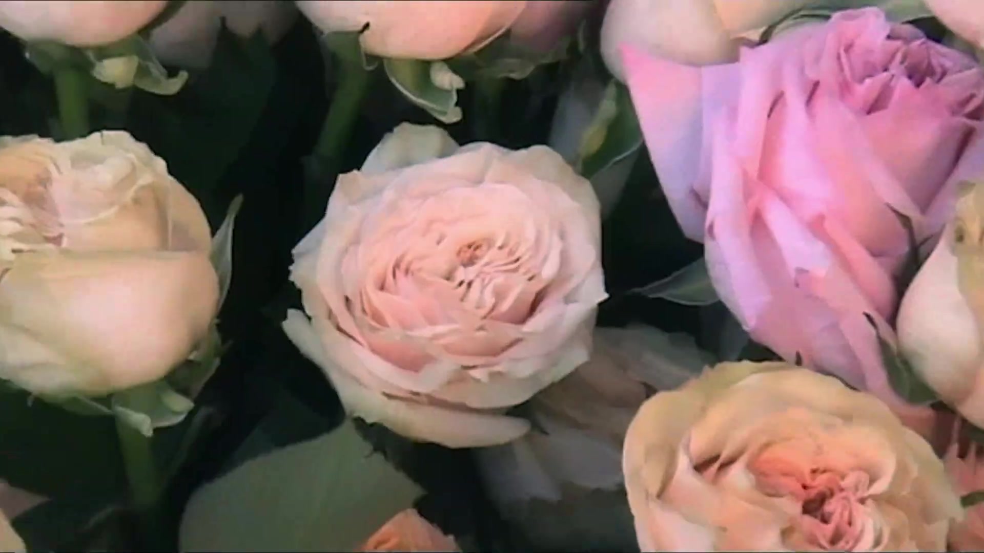 Miss_Dior_-_A_Miss_in_Paris_Episode_2-00_00_37_400.jpeg
