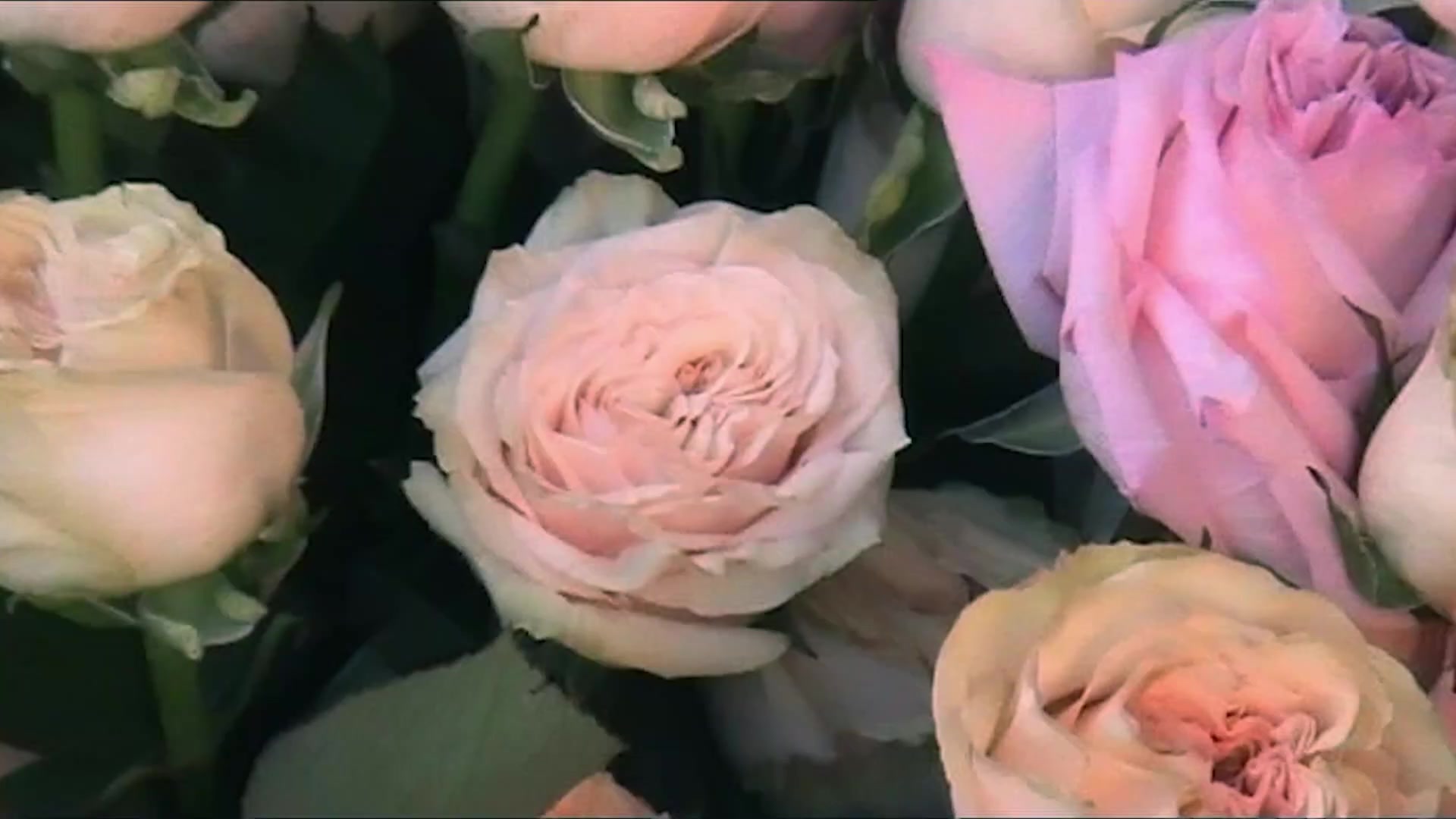 Miss_Dior_-_A_Miss_in_Paris_Episode_2-00_00_37_480.jpeg