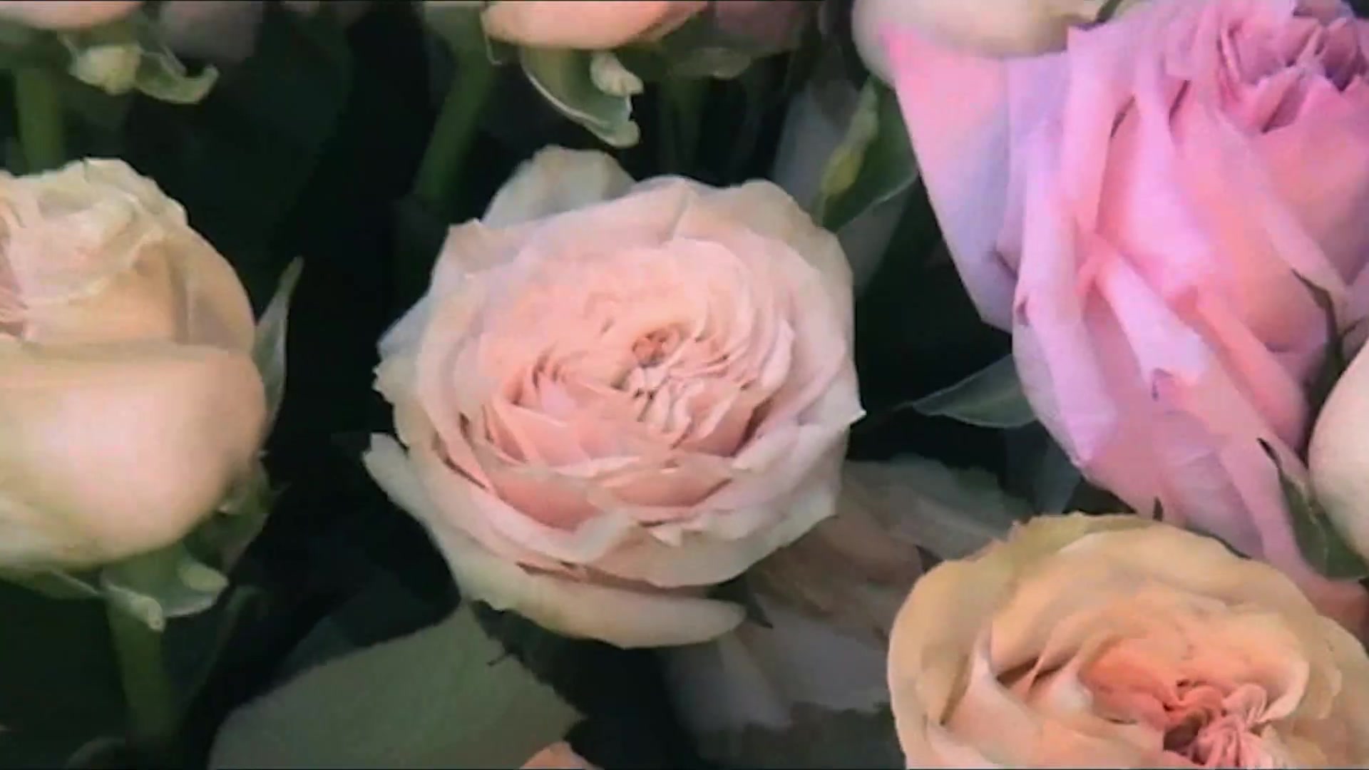 Miss_Dior_-_A_Miss_in_Paris_Episode_2-00_00_37_560.jpeg
