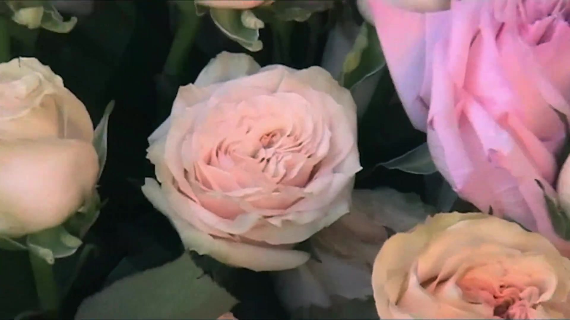 Miss_Dior_-_A_Miss_in_Paris_Episode_2-00_00_37_640.jpeg