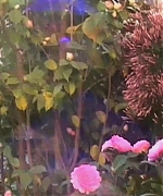 Miss_Dior_-_A_Miss_in_Paris_Episode_2-00_00_15_480.jpeg