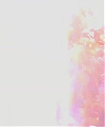Miss_Dior_-_A_Miss_in_Paris_Episode_2-00_00_15_880.jpeg
