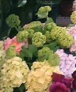 Miss_Dior_-_A_Miss_in_Paris_Episode_2-00_00_33_560.jpeg