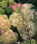 Miss_Dior_-_A_Miss_in_Paris_Episode_2-00_00_37_240.jpeg
