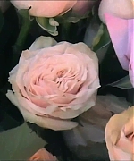 Miss_Dior_-_A_Miss_in_Paris_Episode_2-00_00_37_400.jpeg