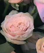 Miss_Dior_-_A_Miss_in_Paris_Episode_2-00_00_37_560.jpeg