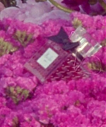 Miss_Dior_-_A_Miss_in_Paris_Episode_2-00_00_39_240.jpeg