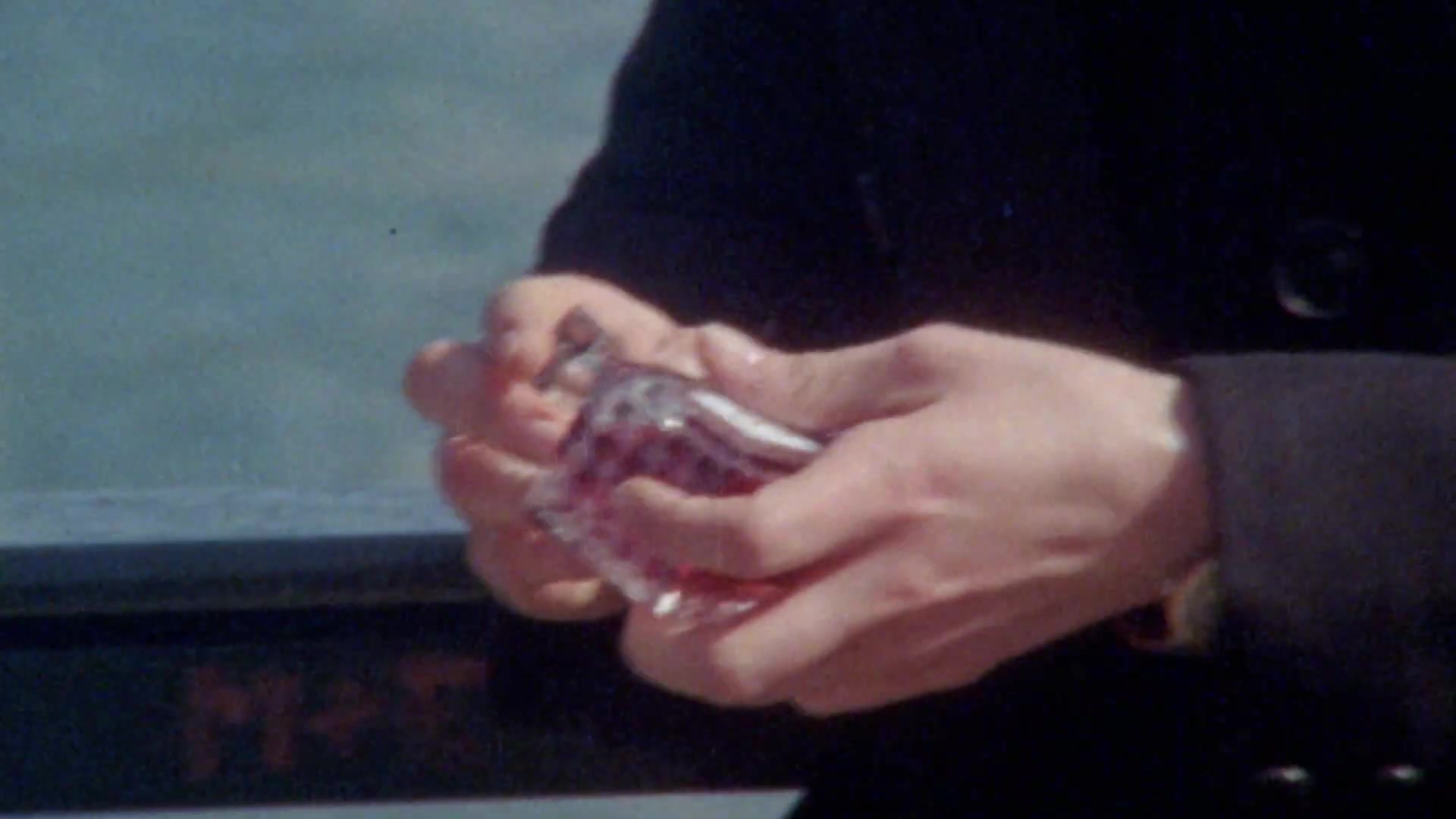 Miss_Dior_-_A_Miss_in_Paris_Episode_3-00_00_40_040.jpeg