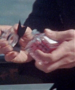 Miss_Dior_-_A_Miss_in_Paris_Episode_3-00_00_40_360.jpeg
