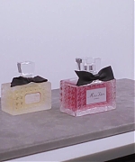 Miss_Dior_-_A_Miss_in_Paris_Episode_4-00_00_23_400.jpeg