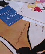 Miss_Dior_-_A_Miss_in_Paris_Episode_4-00_00_55_160.jpeg