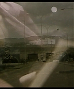 255.jpg