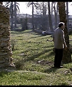 545.jpg