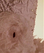 2660.jpg
