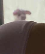 971.jpg