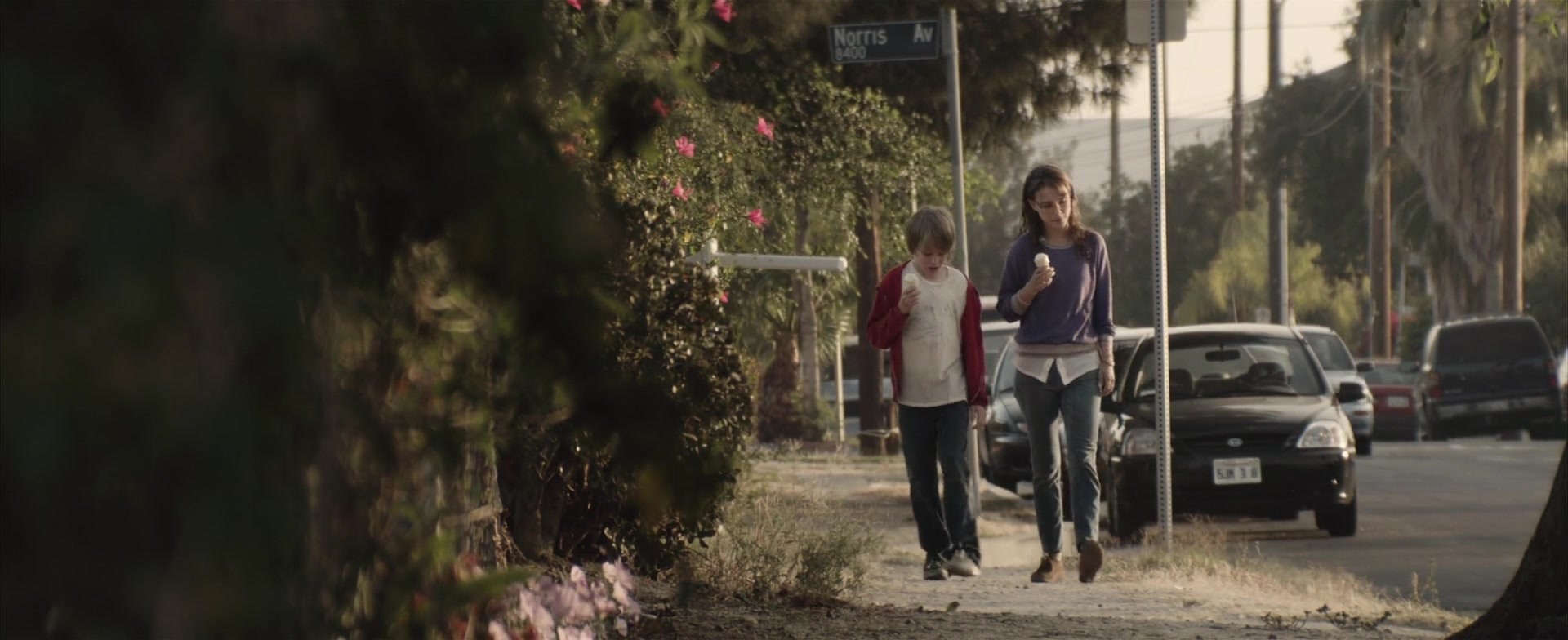 336.jpg