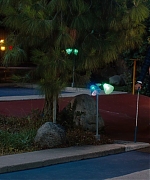 957.jpg