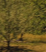 488.jpg