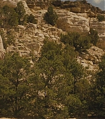 610.jpg
