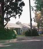 151.jpg